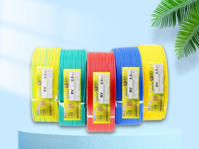 如果發(fā)現(xiàn)家中電線老化，應(yīng)該采取哪些緊急措施？